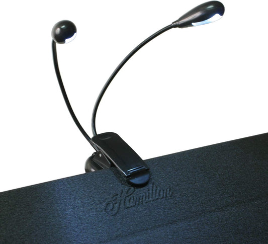 Hamilton Gooseneck LED Light