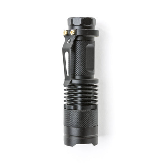 SYSTEM 65  GIG LIGHT